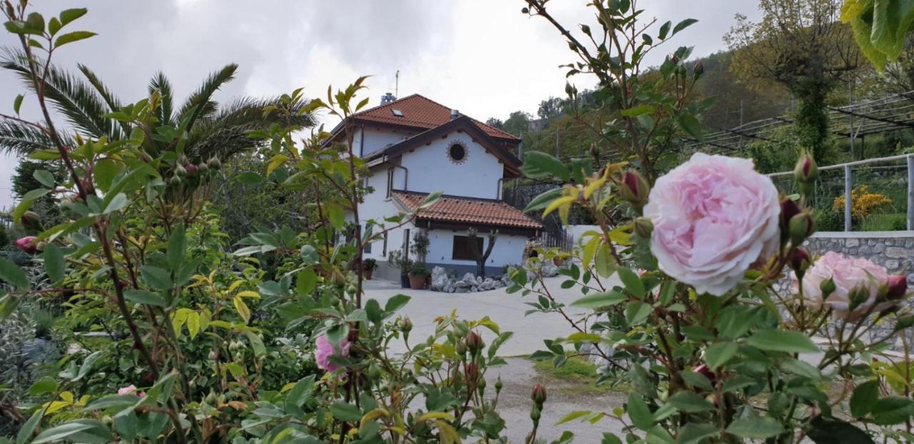 Agriturismo Mare e Monti Agerola Exterior foto